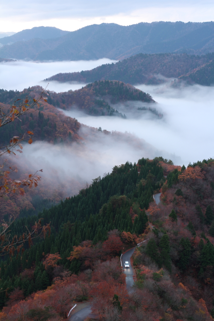 雲海と紅葉