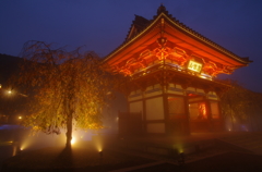 勝尾寺ライトアップ１