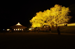 閑谷学校ライトアップ