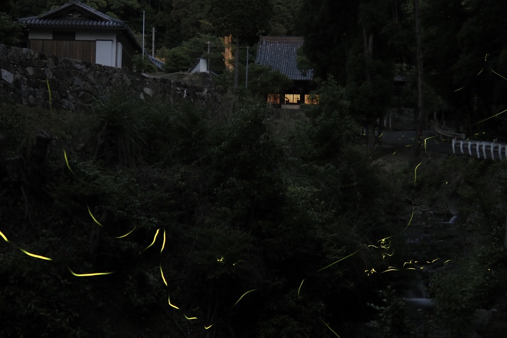あじさい寺