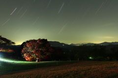 ライトアップの七色カエデ