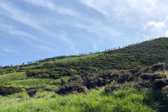 大山③