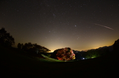 ライトアップの七色カエデに流れ星