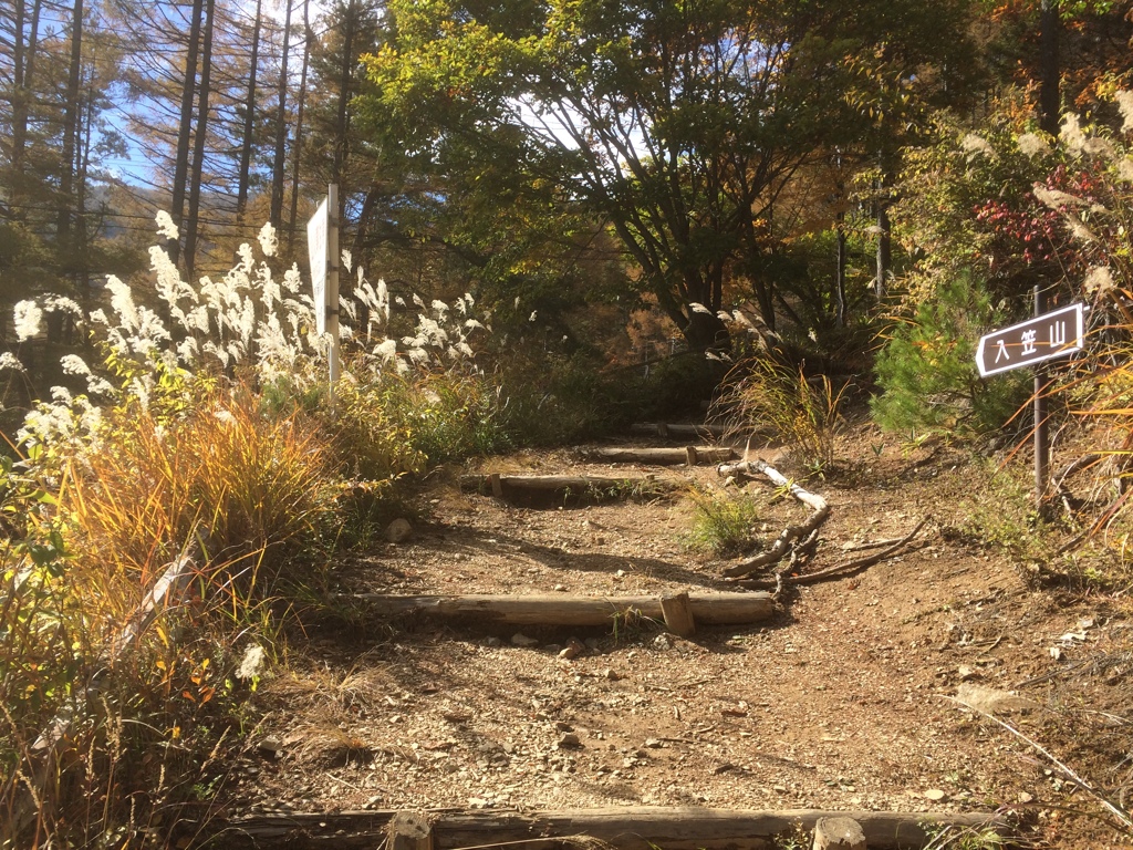 登山口