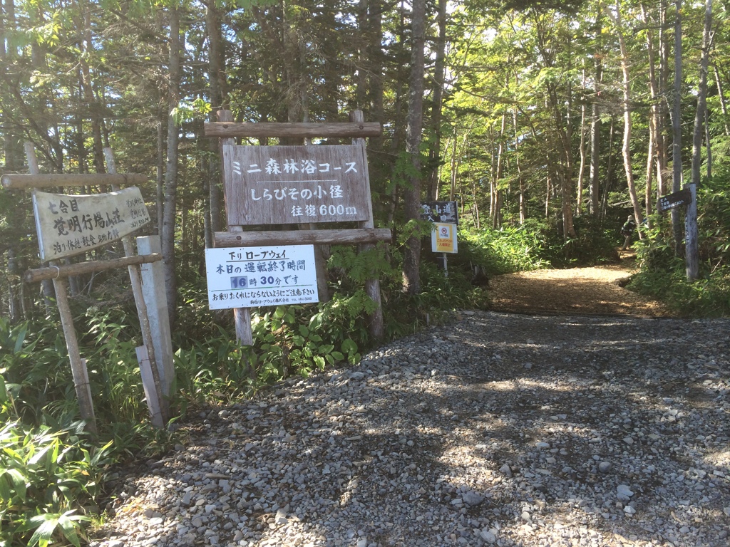 登山口