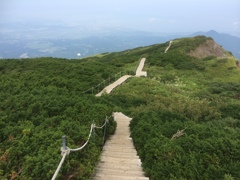 振り返ってみますと