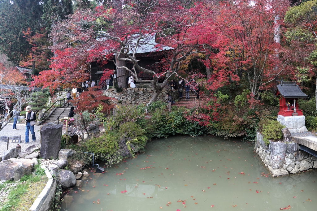 大國寺1