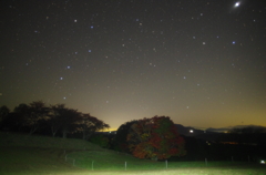 七色カエデと北斗七星