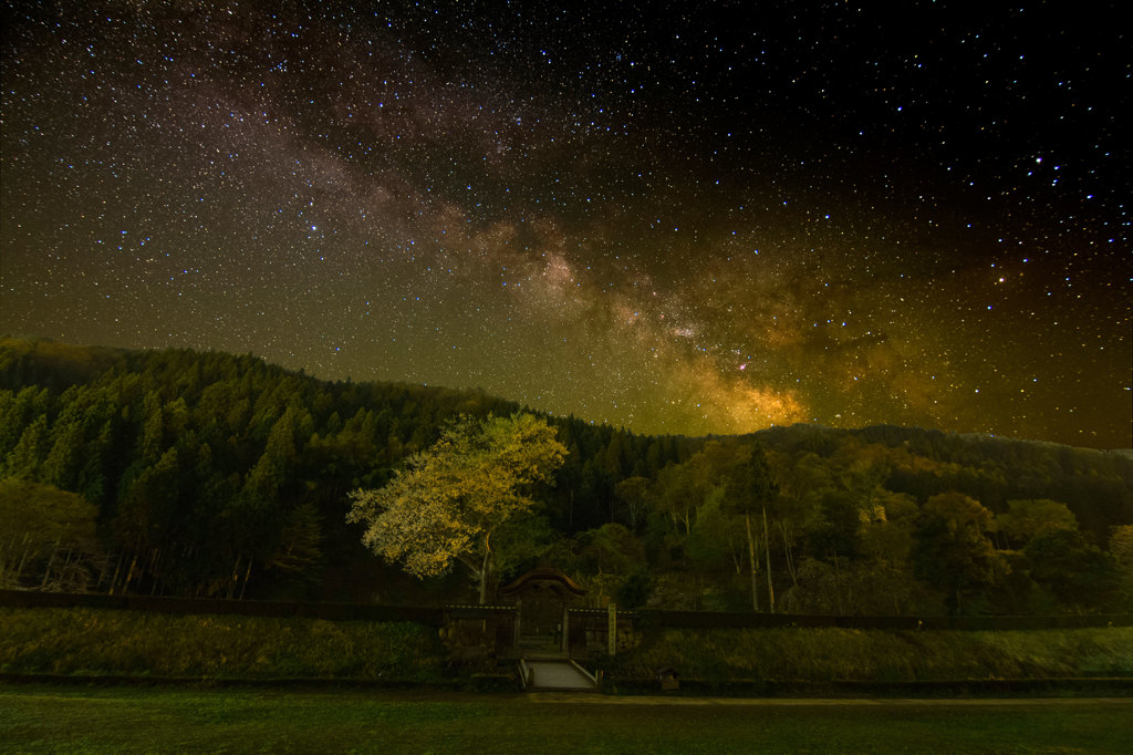 薄墨桜と天の川