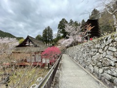 談山神社①