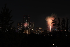 天神祭奉納花火2019 ①