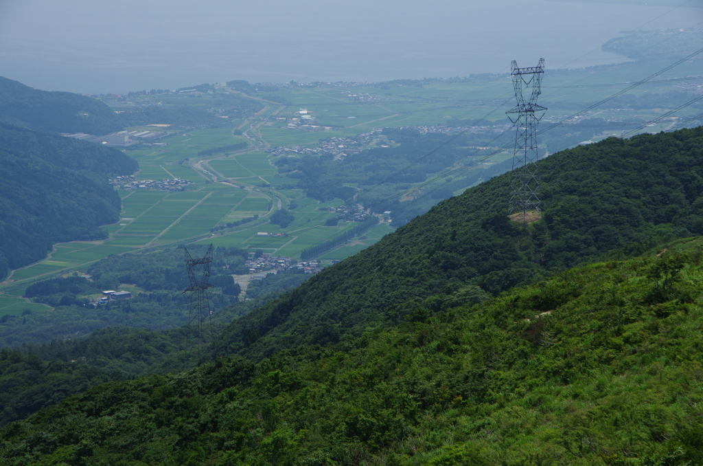 赤坂山頂上よりメタセコイア並木を望む