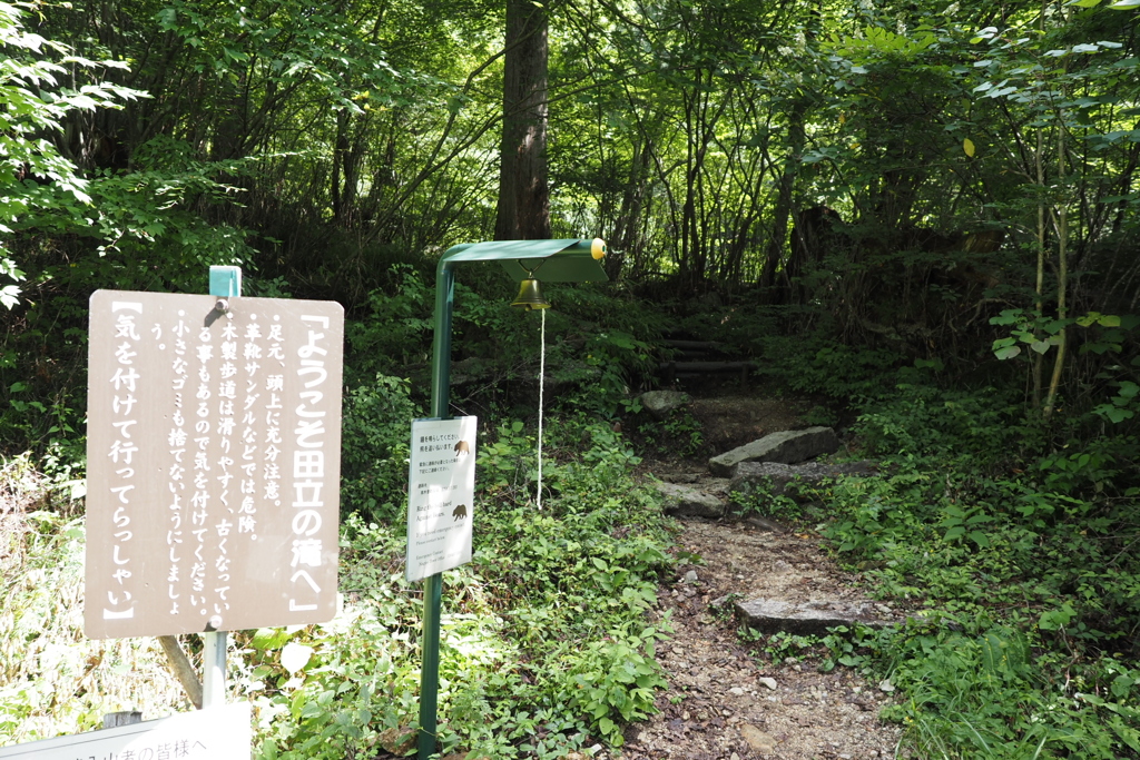 田立の滝①