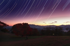 夜明け前に七色カエデを撮影するカメラマン