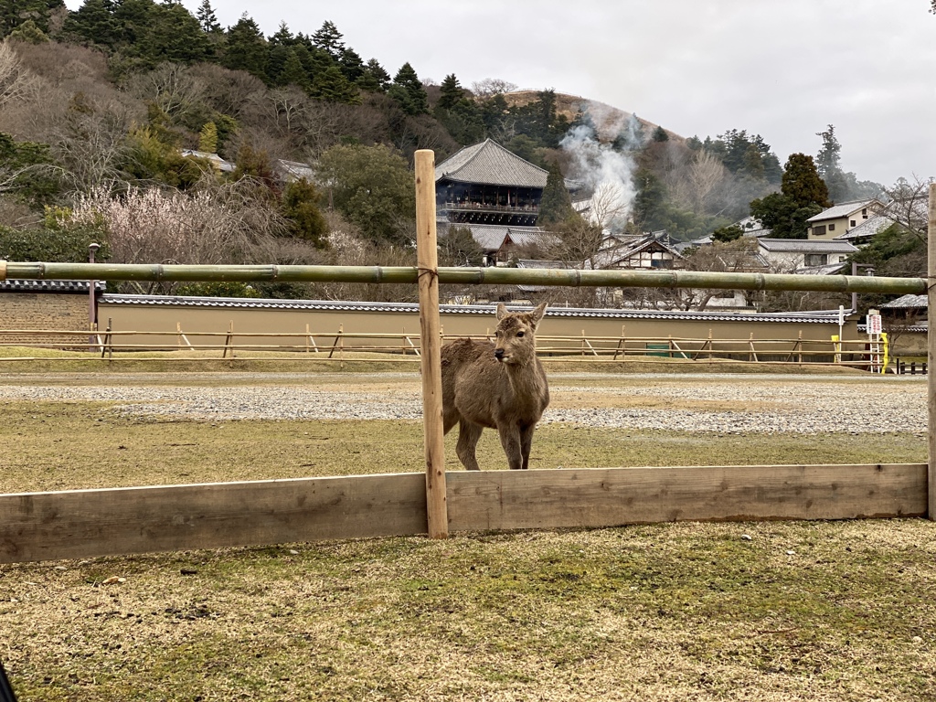 お水取り③
