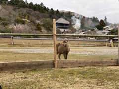 お水取り③