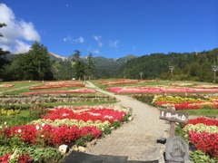 御岳ロープウェイ前のお花畑