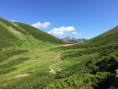 道