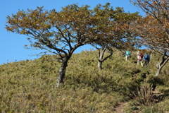 竜ヶ岳①