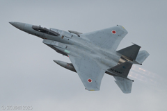 10/16 F15 Hamamatsu