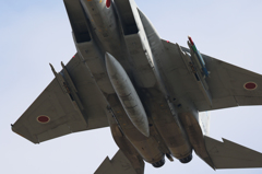 F15　お腹アップ