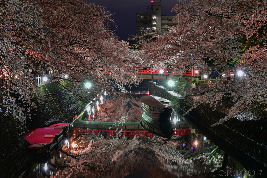 芭蕉むすびの地　水都　①　