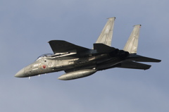 F15 Third