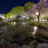 Sakura　2019Last