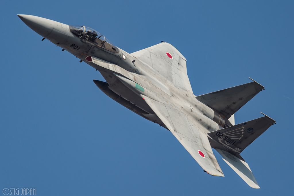 F15 60th記念機