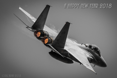 謹賀新年　2018