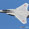 F15　10/16　７DMK2解像版　（1DXの有効画素　703万画素位）