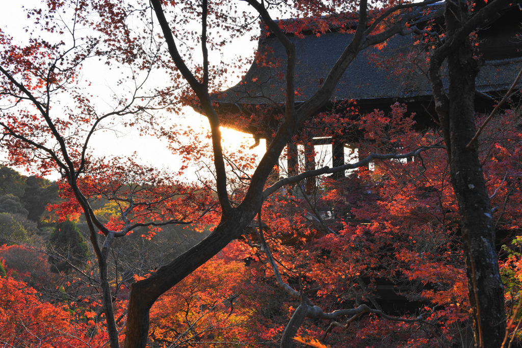 kiyomizu ２