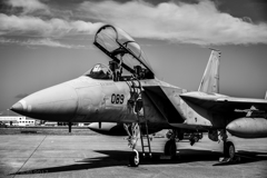 F15 mono tone