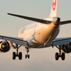 伊丹空港　⑧