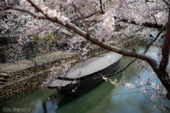 芭蕉結びの地　②