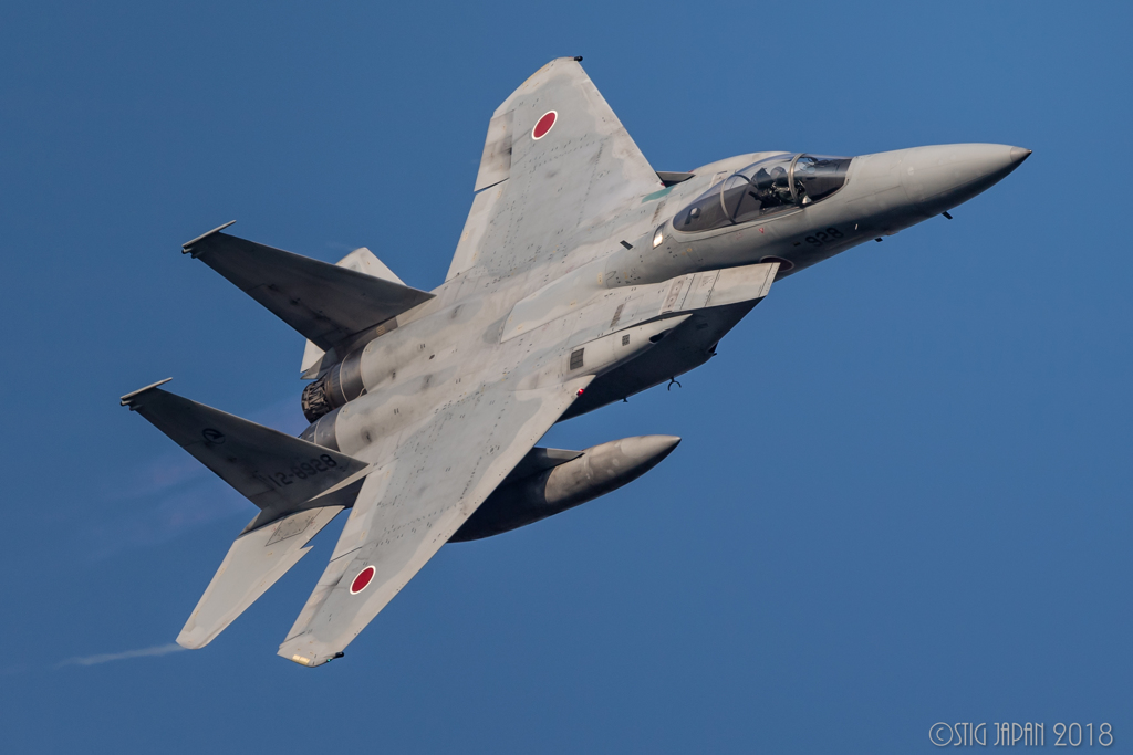 F15機動 　11/8