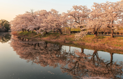 水鏡