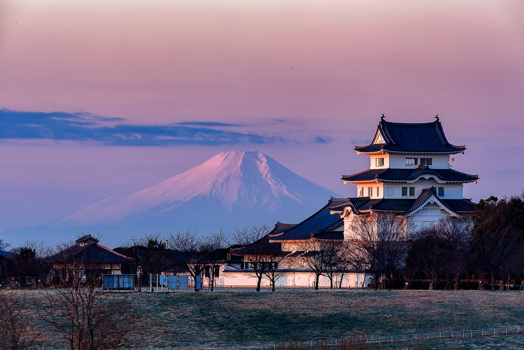 城と富士山②