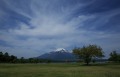 この木なんの木気ななる木♪