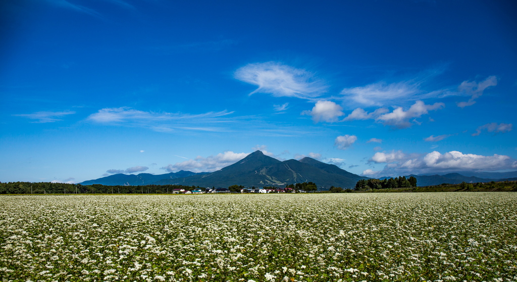 磐梯山と蕎麦の花