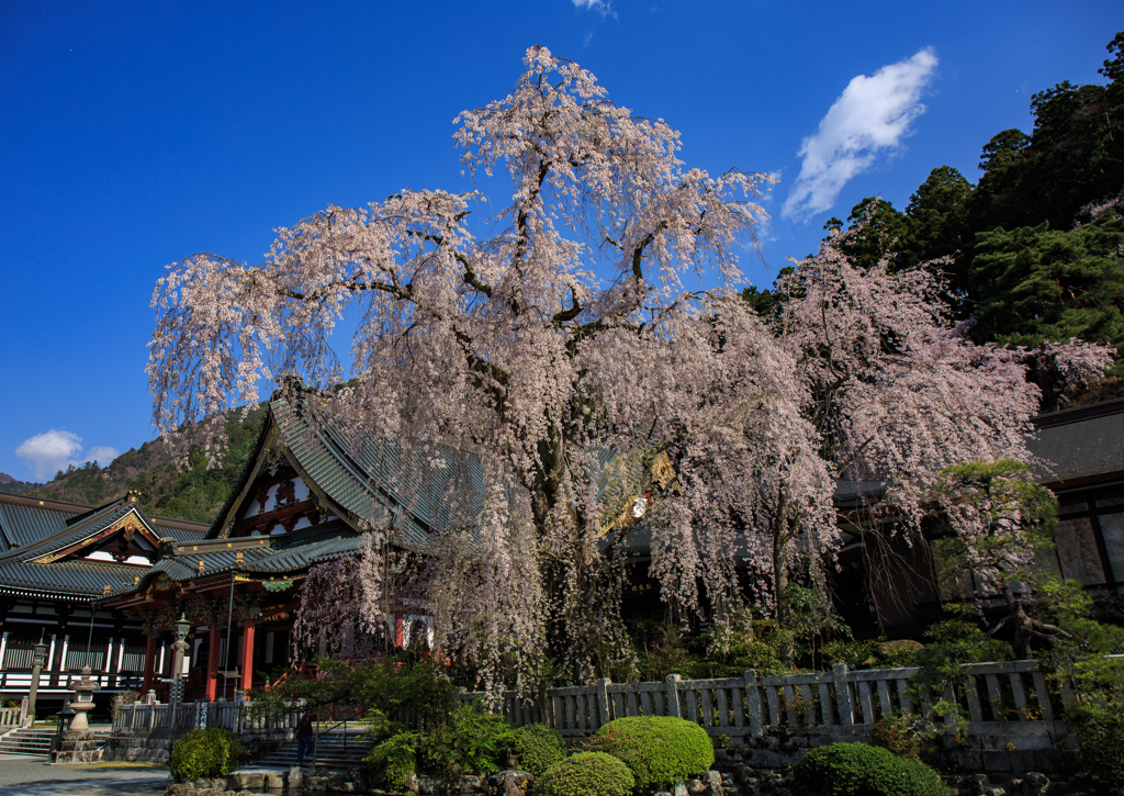 久遠寺