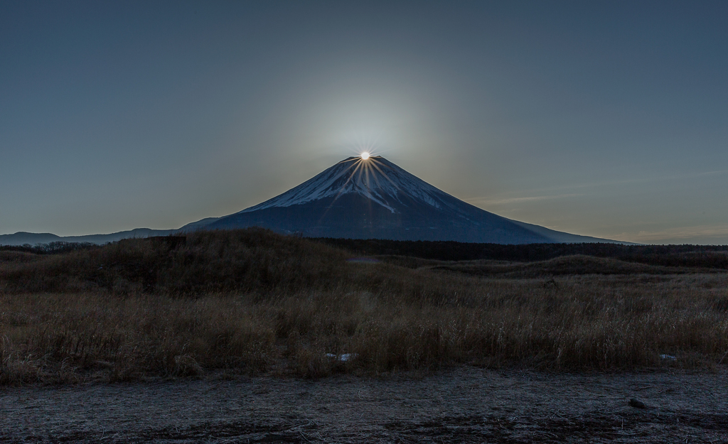 朝霧の朝