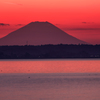 富士山を拝む大仏様