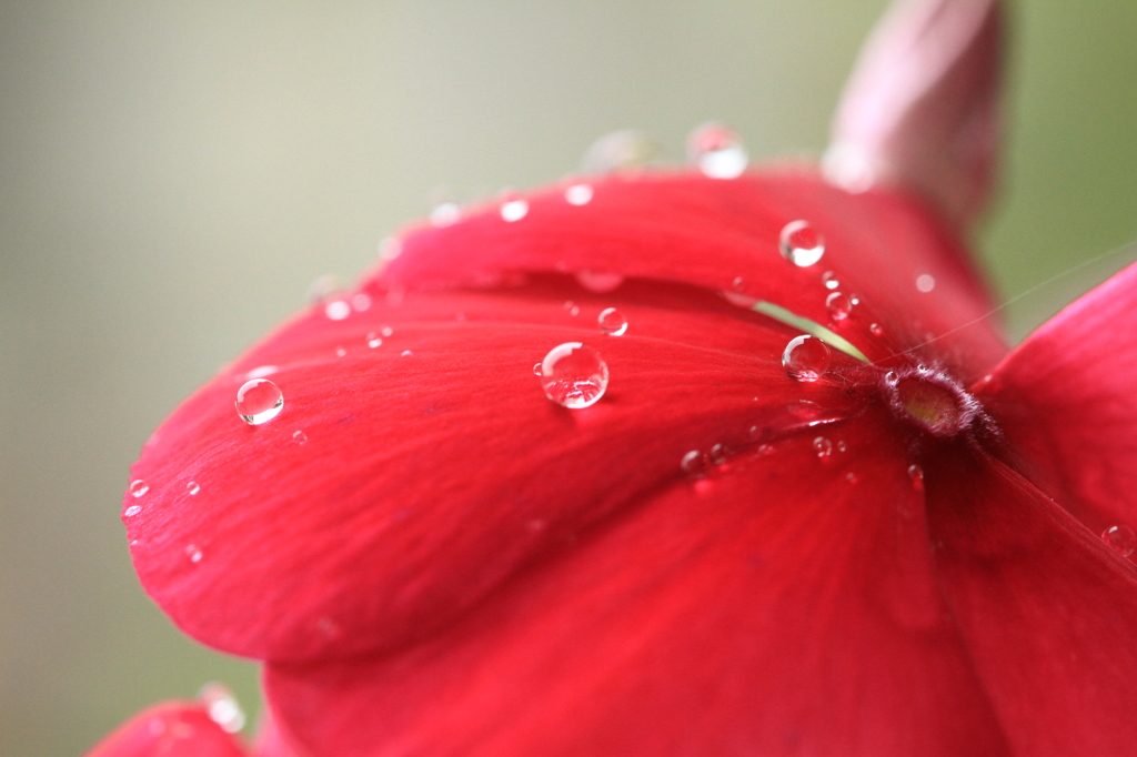 雨粒