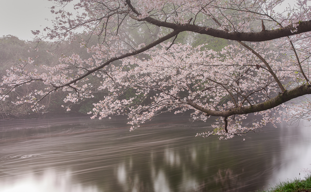 春の小川