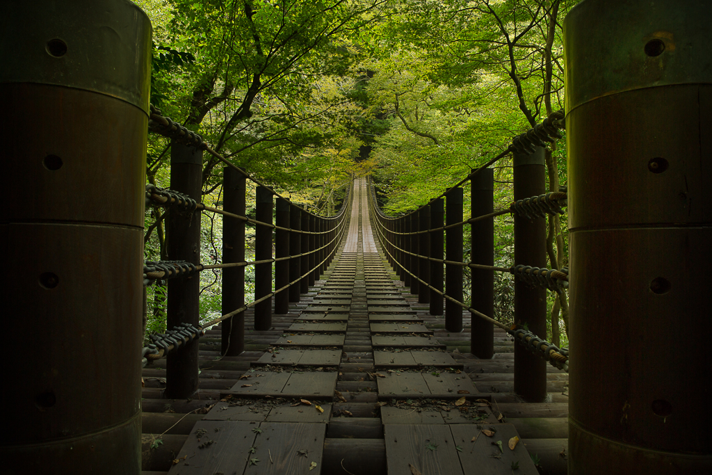 秋待つ吊り橋