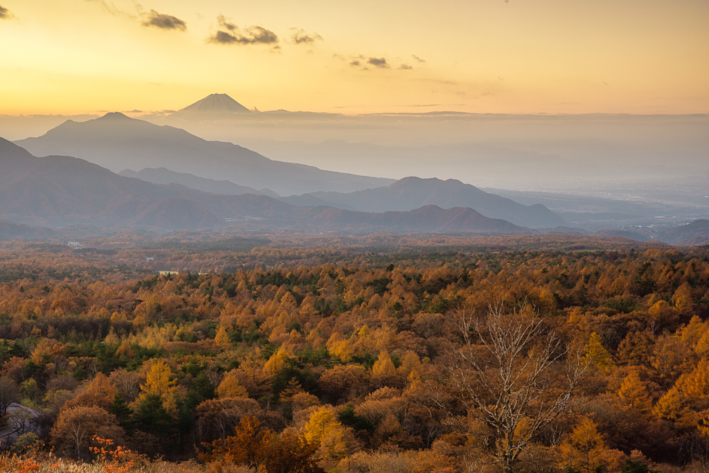 黄葉と富士山