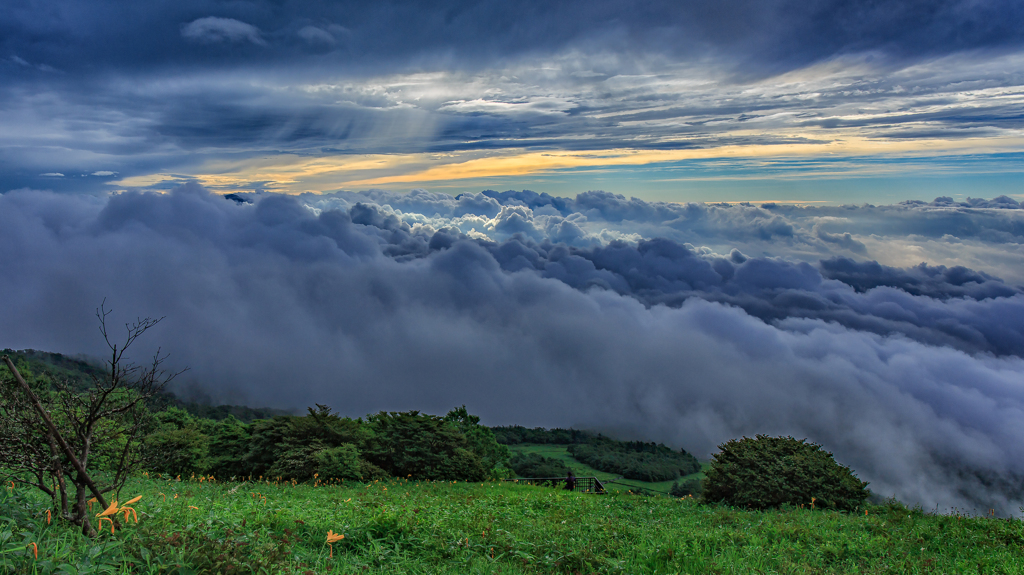 霧降高原