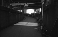 日のあたる場所