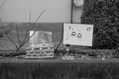 お雛さま